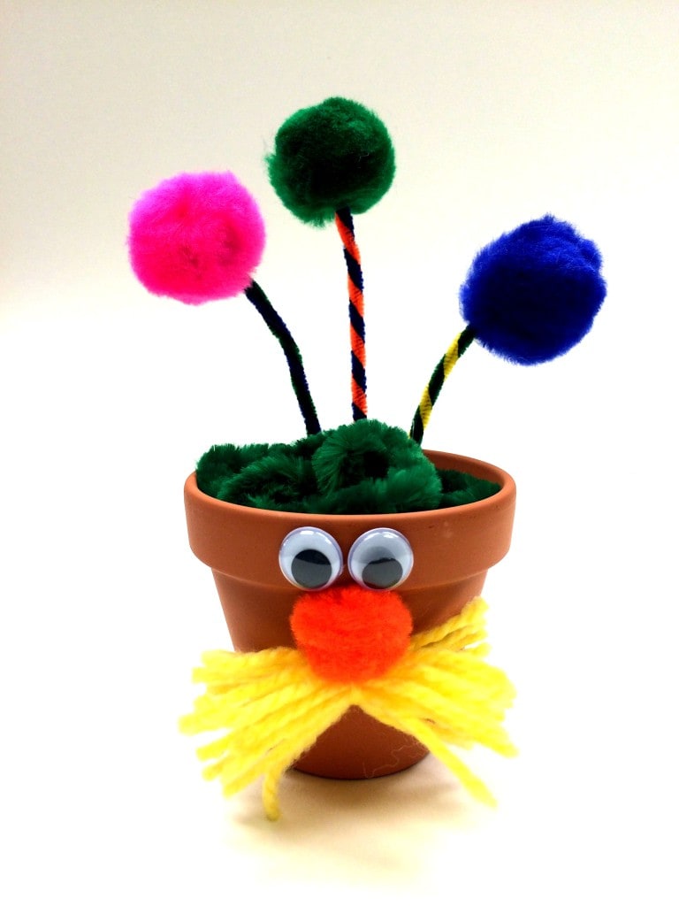 Pipe Cleaners - J&J Crafts